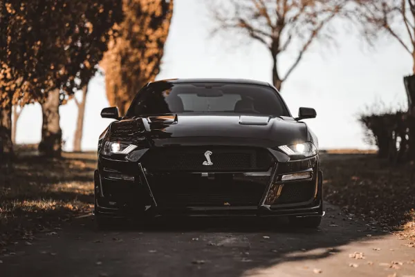 OG Casino Android/iOS Forrit